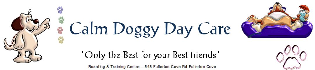 Calm Doggy Day Care NSW Australia